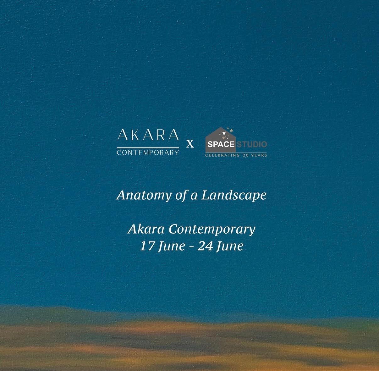 Anatomy of a Landscape